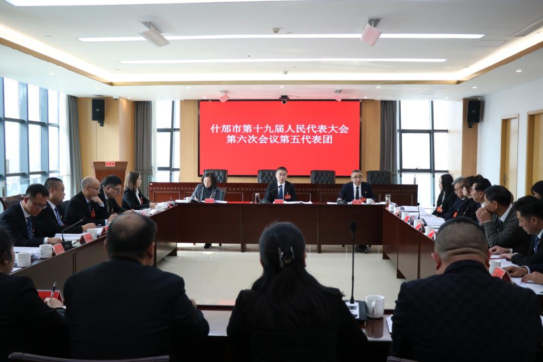 晏世莹、叶科、简鸿彬、何学军、丁斌参加人代会分团...