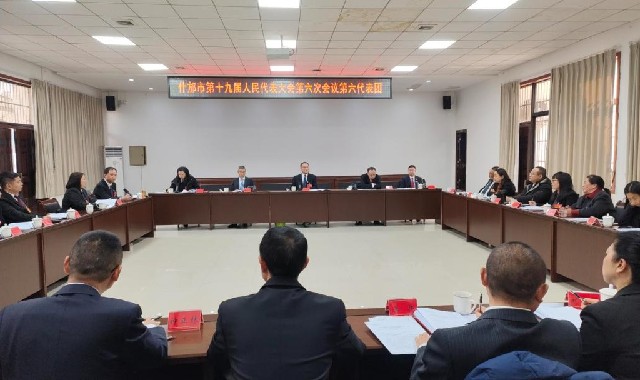 何学军继续参加分团讨论