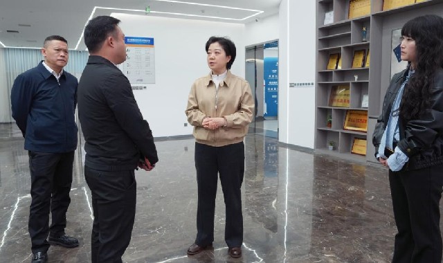 晏世莹调研低空经济产业时强调：抢抓开局 乘势而进...