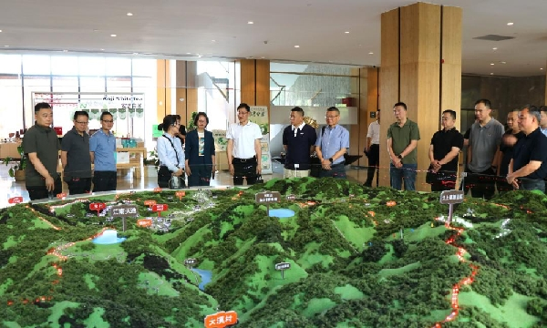 学习“千万工程”先进经验 探索城乡融合发展新路...