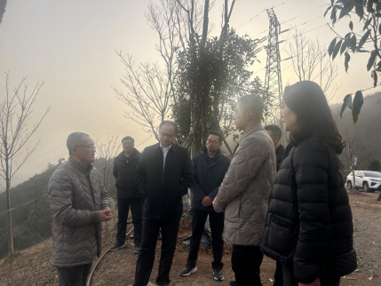 d3c4c67404491a4859fad0de6ef759a4