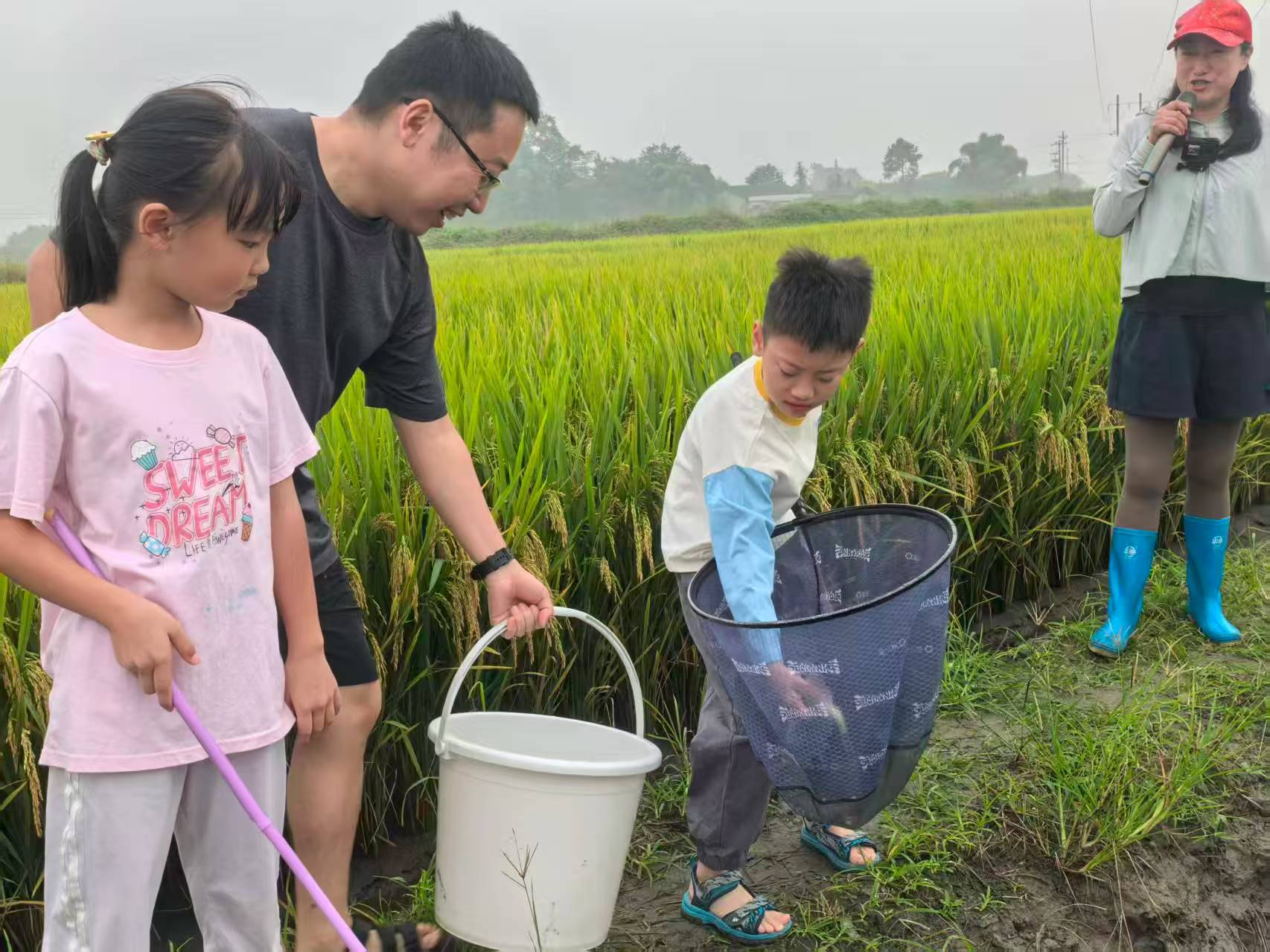 1761117635770052903.jpeg 1761117635770052903.jpeg