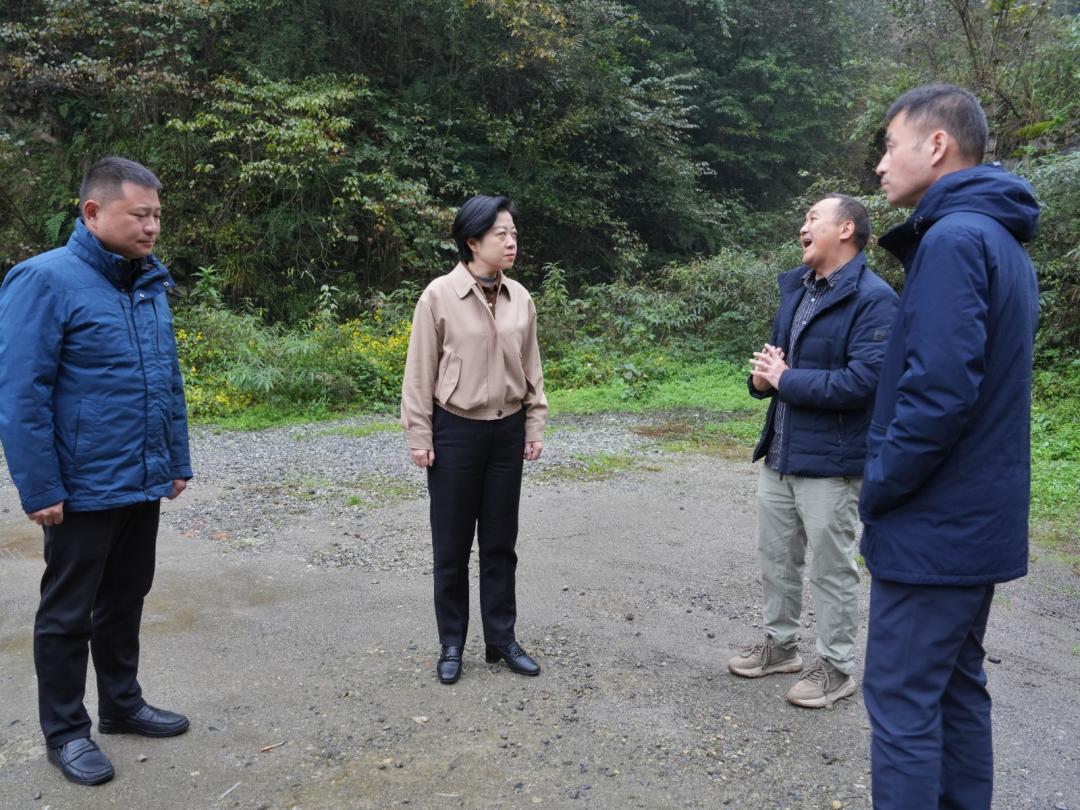 1763001839957077112.jpg 2.jpg