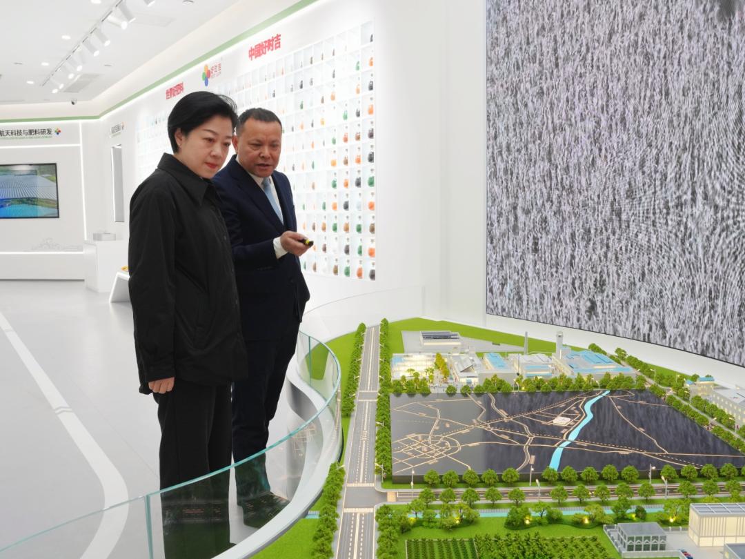 1768967041204056811.jpg 1.jpg